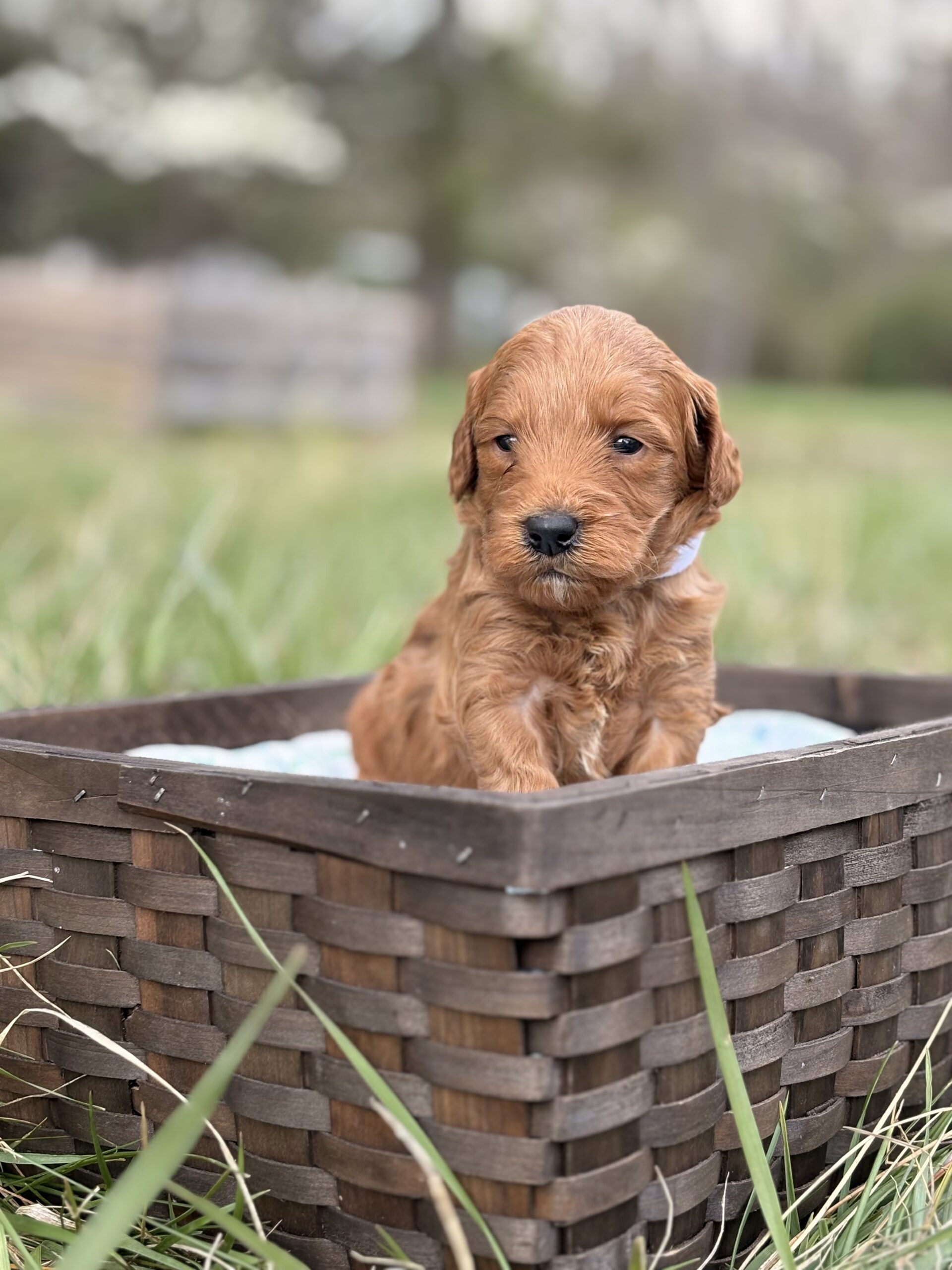 0B4A465A-66FA-4FC4-9ECD-19772093ED58