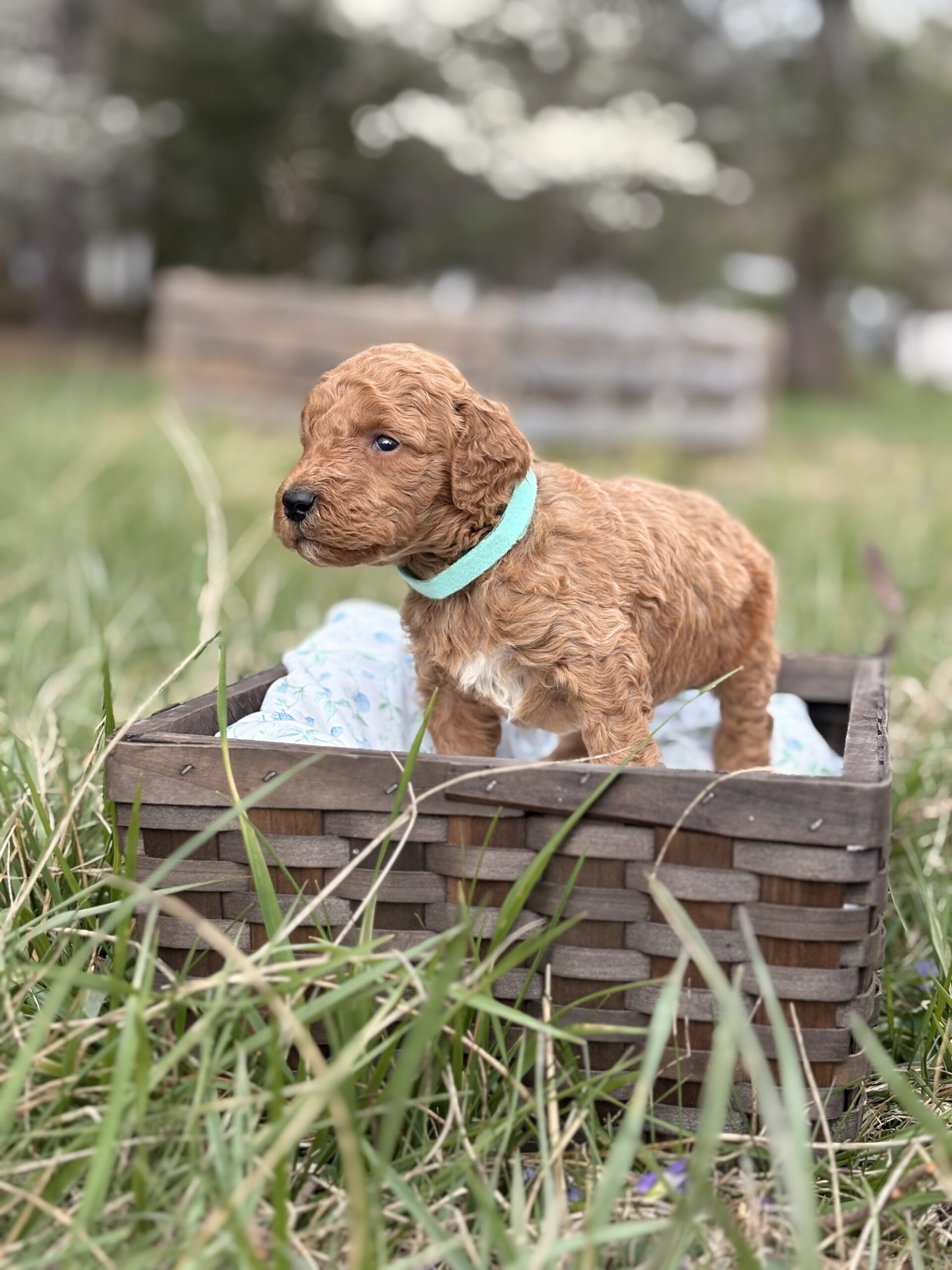 0CEF1182-0638-4FD0-8586-A07F39287285