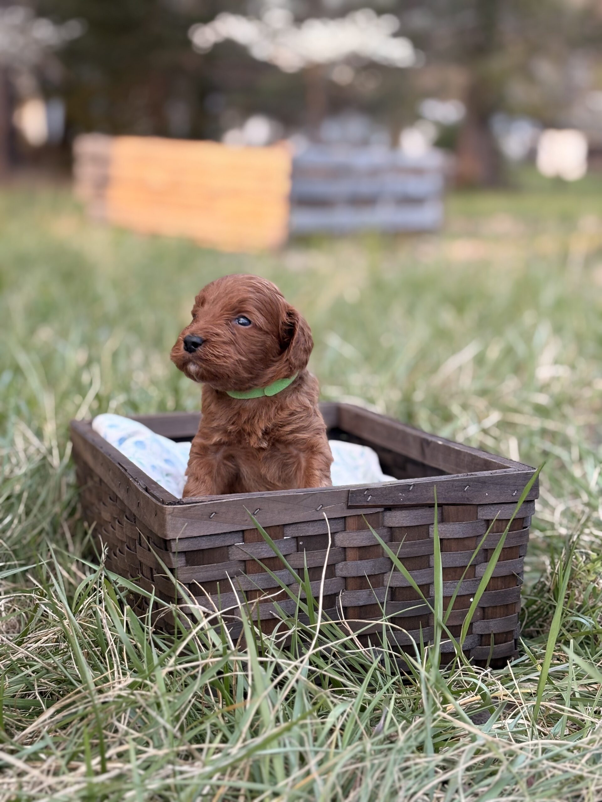 13ECCC17-555F-4582-B014-A977ACC1CD32