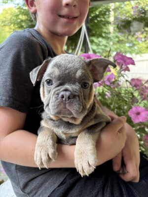 Diesel