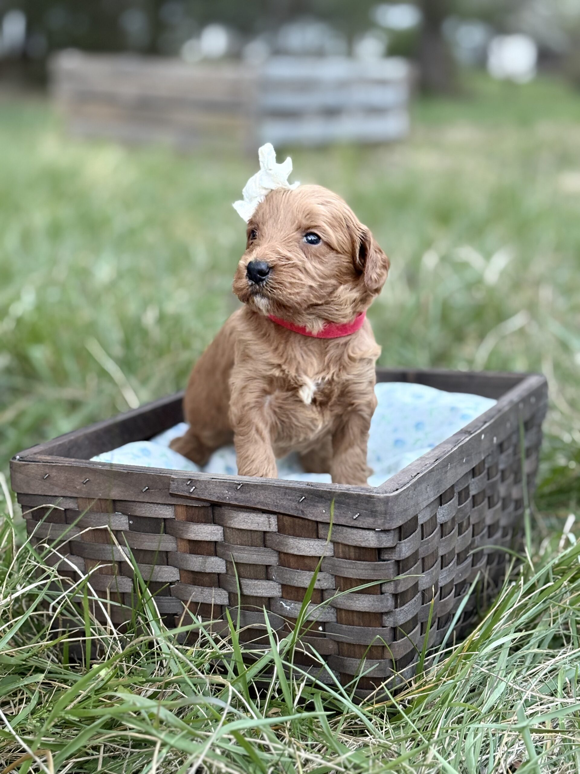 2535F164-C587-48A9-BCEA-075080417DDF