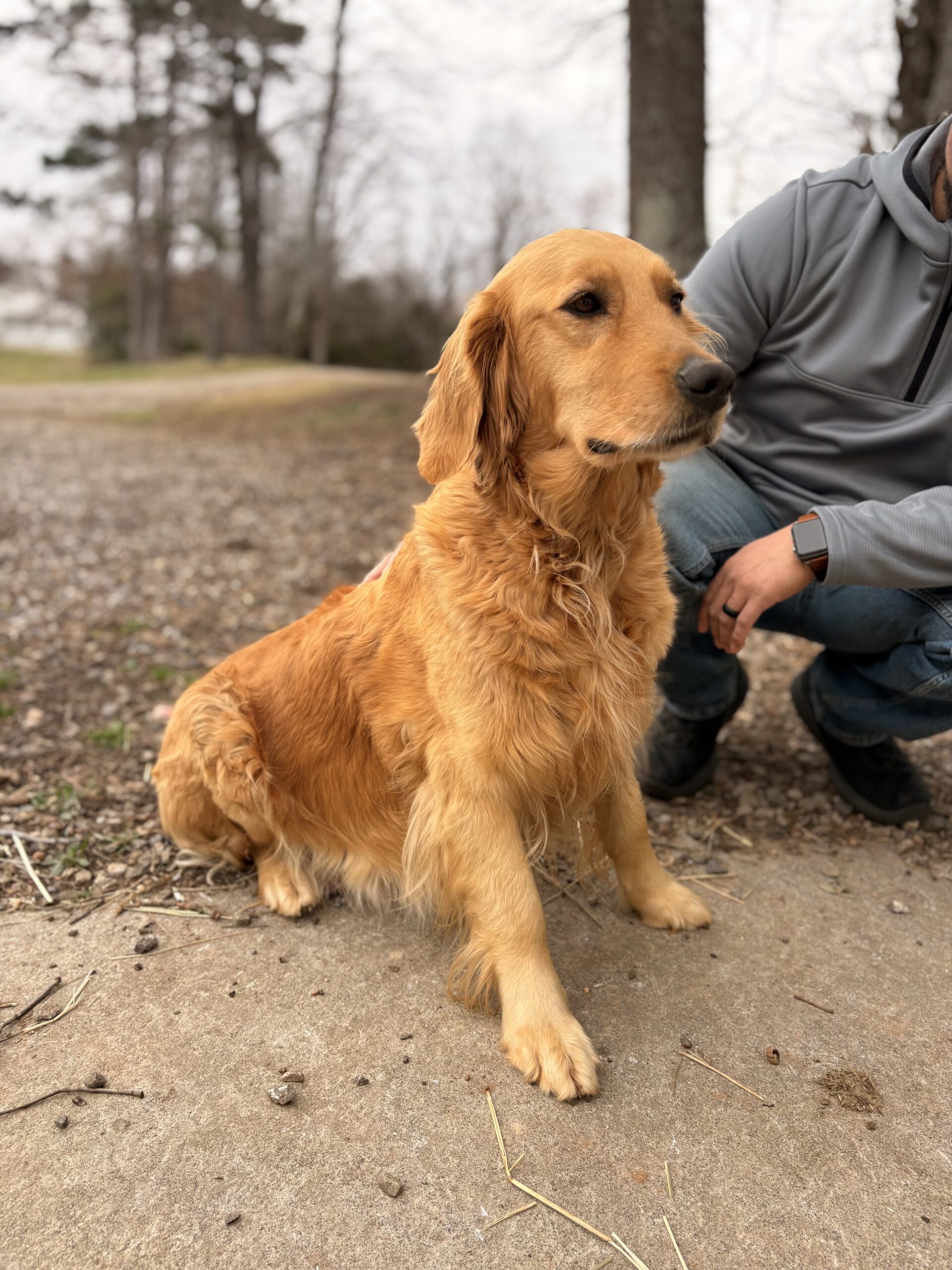 3411A687-56C0-423C-BD2A-7B9DFE25B77F