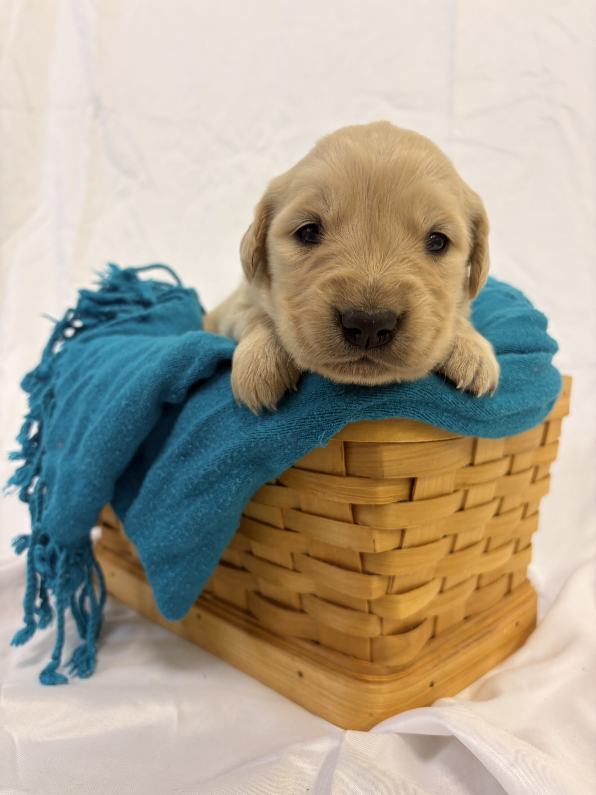 3D0BB992-1A91-42DD-9054-54CDDC4132A4