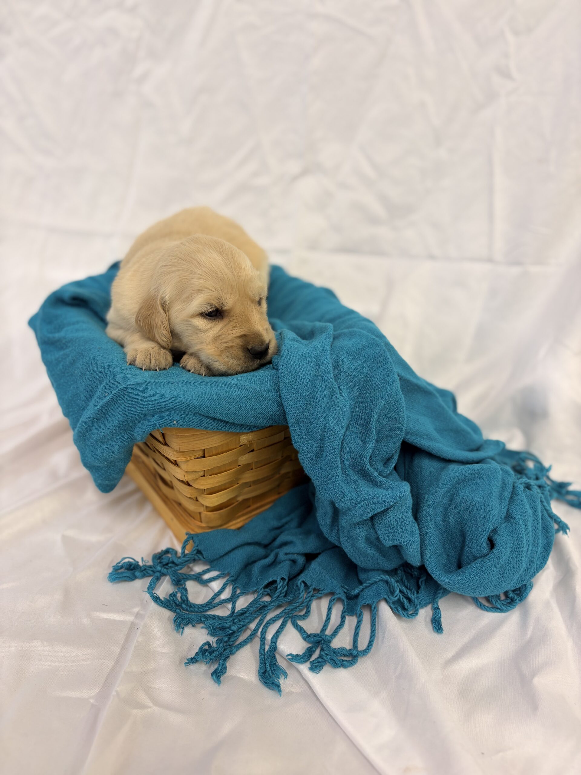 7FED8DB4-019D-4B02-A4B1-F82A8665B689