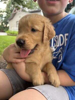 Ranger