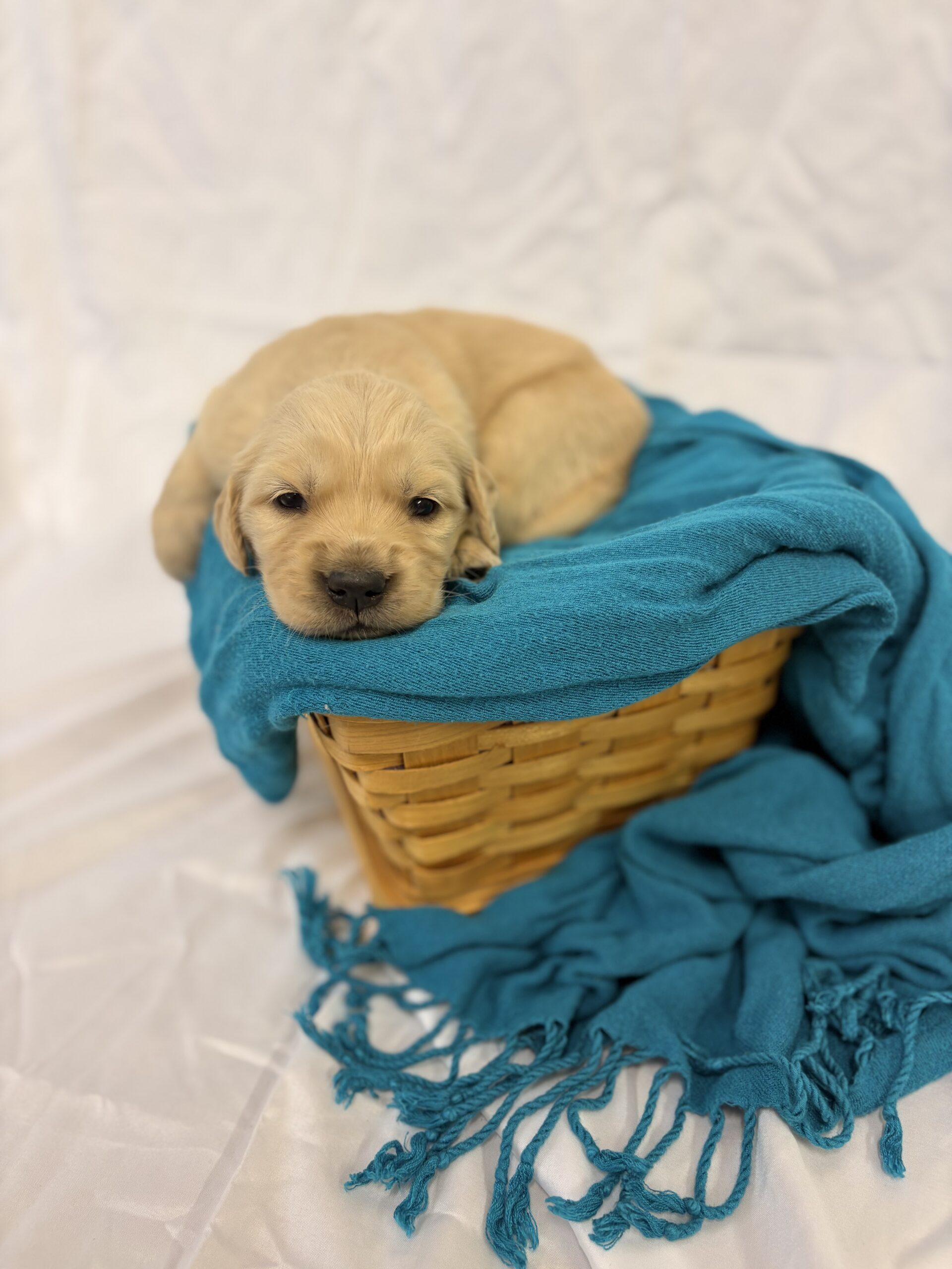 D0C1174F-78F1-47D2-8D1D-829BFB456879