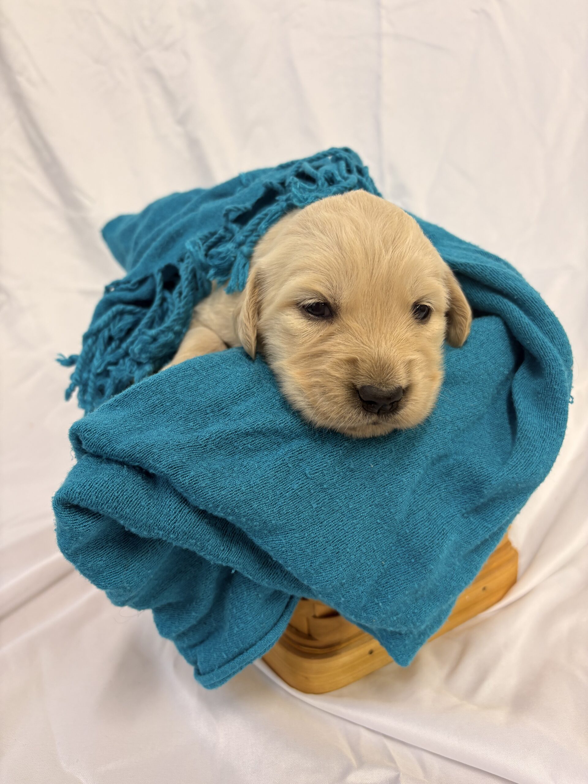 D1FD9EA3-D498-4D67-BBEC-D85545AFFCE2