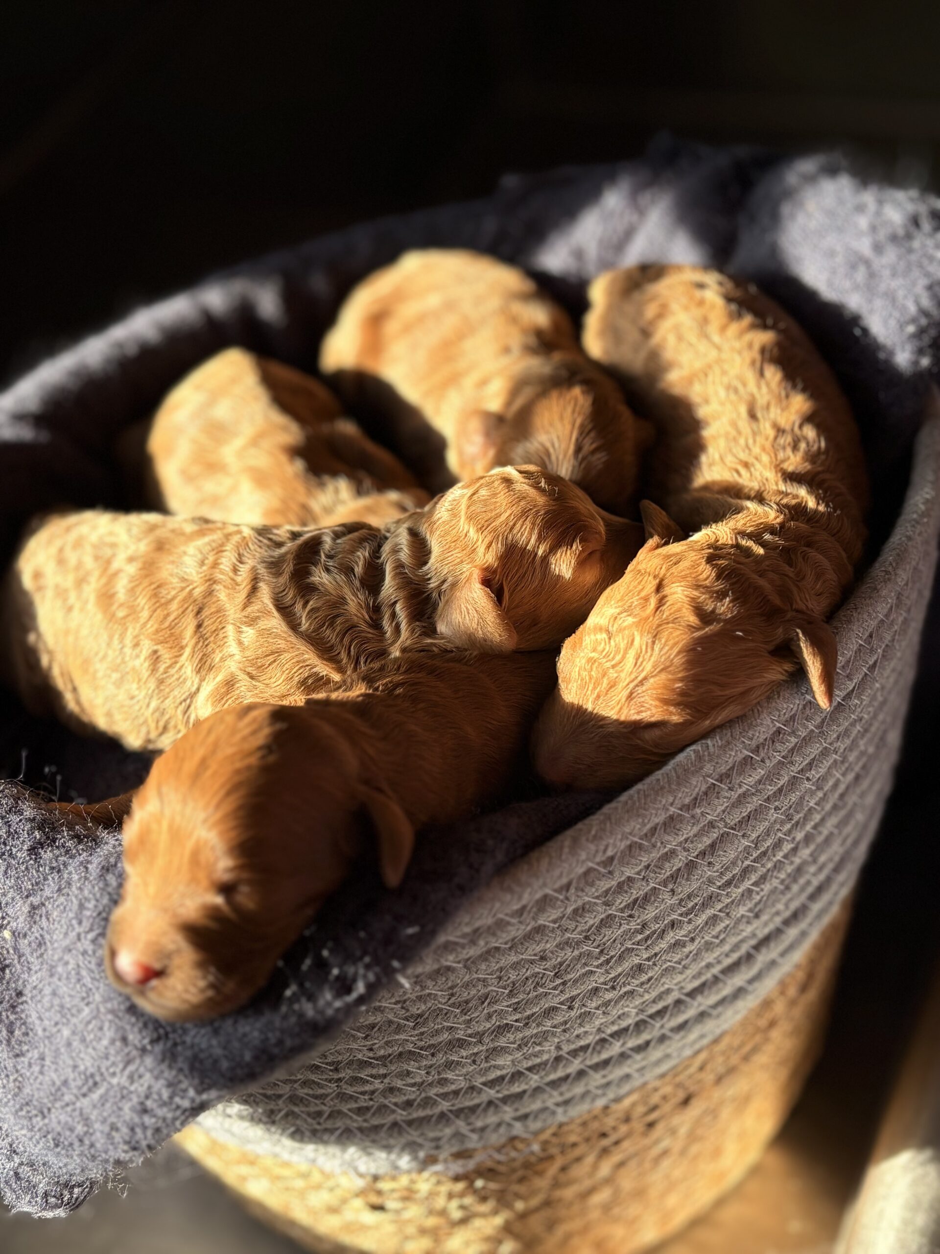 FFF070C9-8D6D-49F0-97F8-12CA2F3EB97B