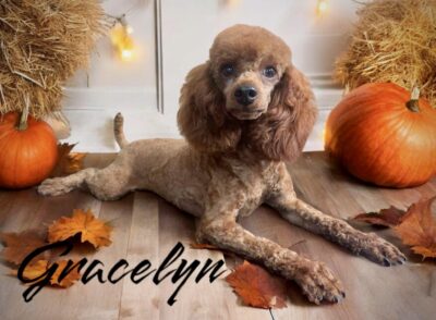 Gracelyn