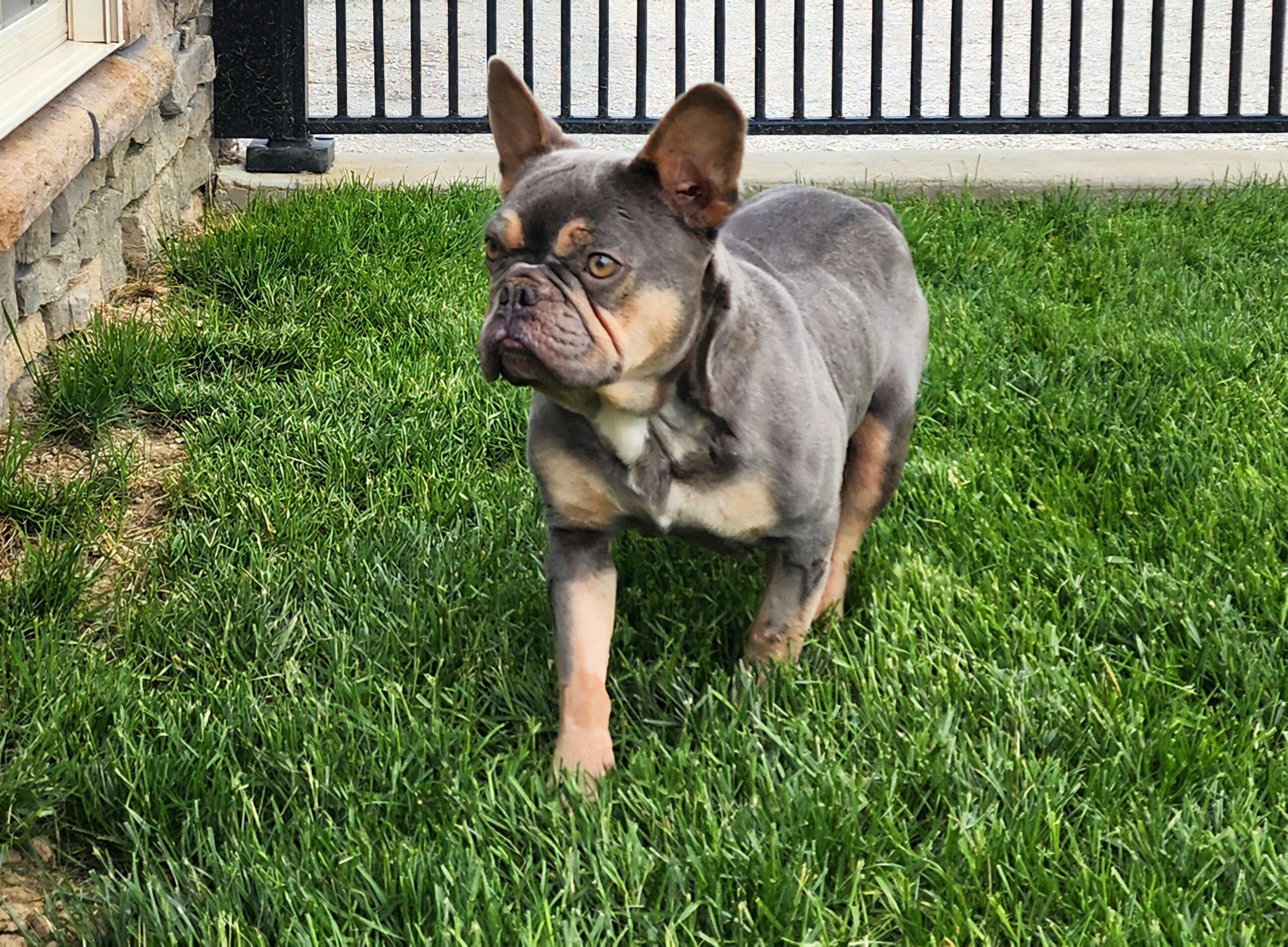 Missie